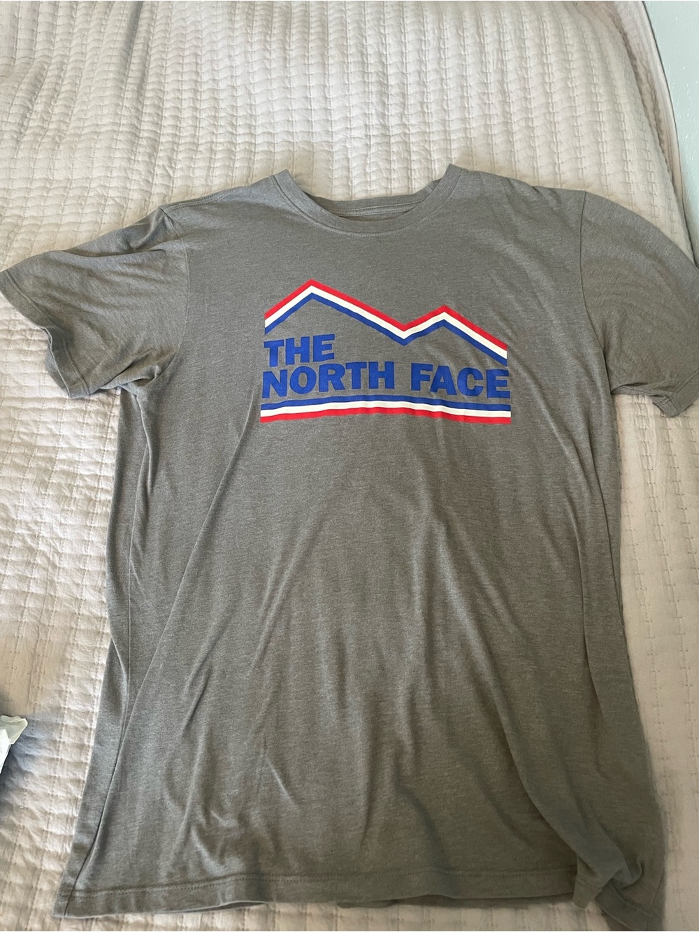 The North Face Men’s Large Gray Graphic Tee – Retro Mountain Logo